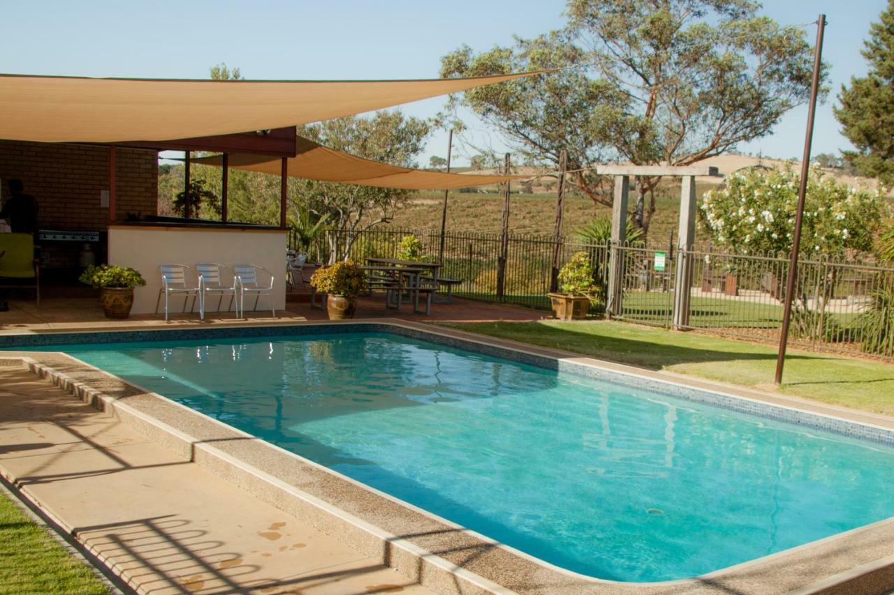 Angaston Vineyards Motel Exterior photo